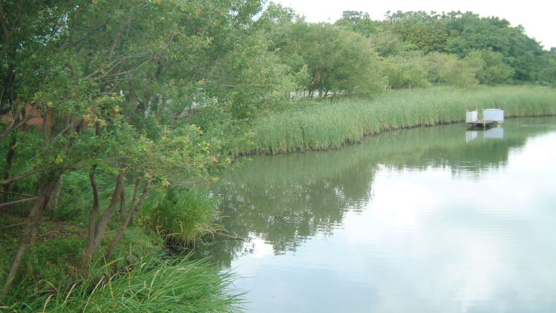 fig.00 ����c�͐g�߂Ȑ���ł�