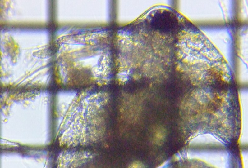 fig.03 �]�E�~�W���R���h�L