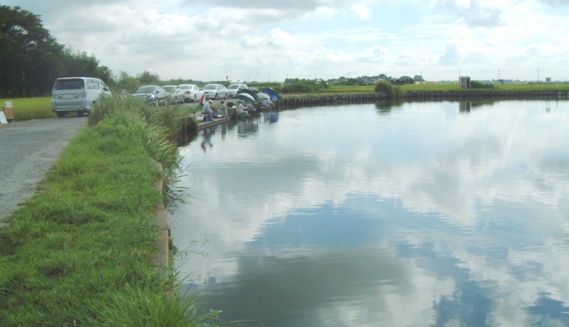 fig.00 ��錧����