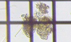 fig.05 �e�}�������V