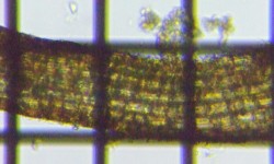 fig.14 �Α��̈��