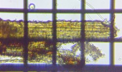 fig.15 �A����