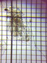 fig.05 �_�t�j�A