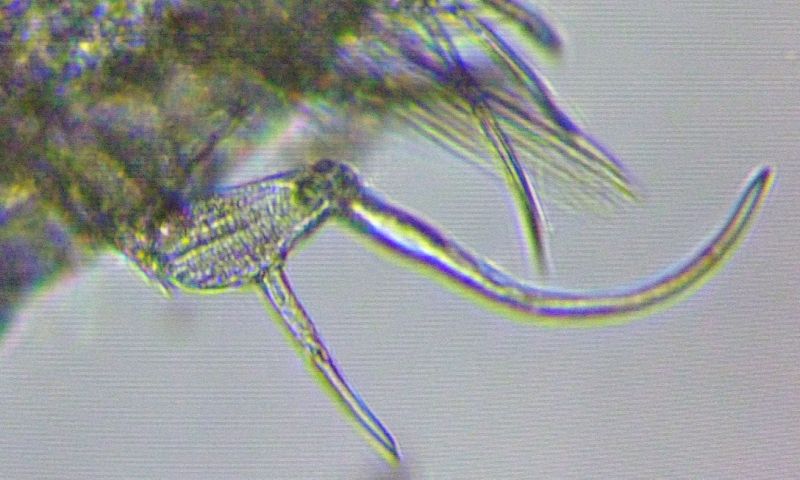 fig.02 ����T���r