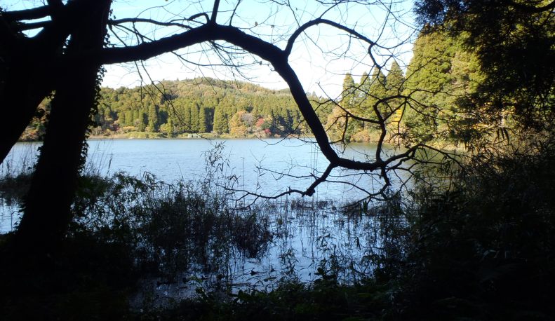 fig.00 �Y�փP�r��J�ÁE���������h��