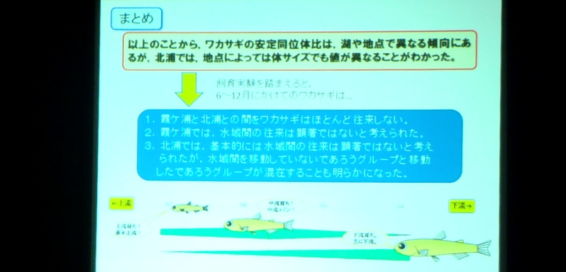 fig.02 ��錧���Y����������ʎx��r�R�a����C��
�w�Y�f�E���f���蓯�ʑ̔䂩�琄�肳�ꂽ���P�Y�k�Y�ɂ����郏�J�T�M�̉�V�͈́x