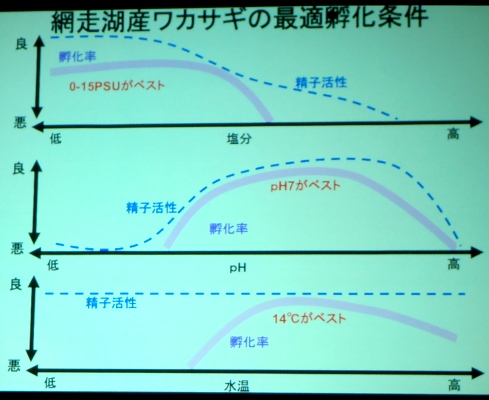 fig.08b �w�ԑ��ΎY���J�T�M�ɂ�����œK�z�������̌����x