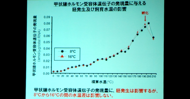fig.09 �k�C�������������@�\���Y�����{�������܂��E�����ʐ��Y�����ꐅ��L�猤����C��́w�����w�I��@��p�������J�T�M���ᗑ�̌��c���]���x