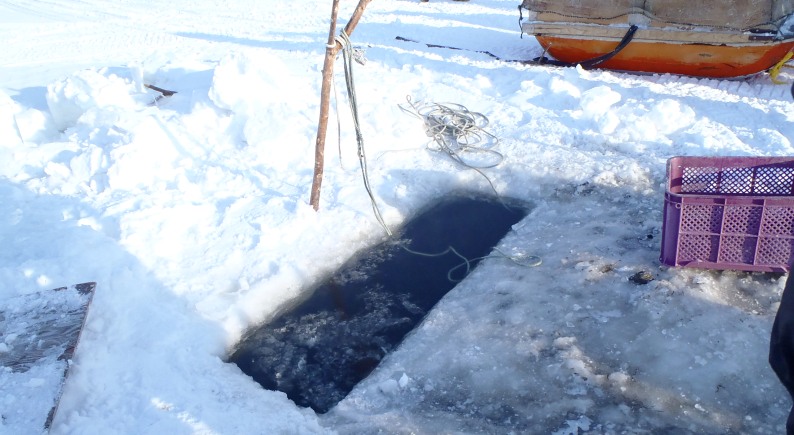 fig.00 �ԑ���