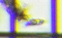 fig.13 ���[�O���i��