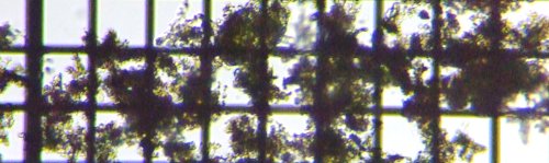 fig.18 �f�g���^�X