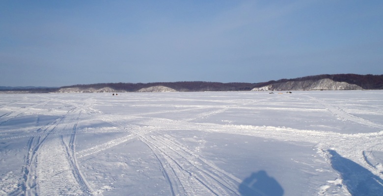 fig.00 ���~���̖ԑ���