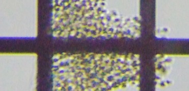 fig.03 �N���I�R�b�N�X��