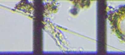 fig.04 �V�l�h����