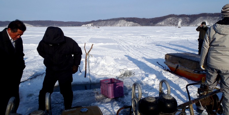 fig.05 �ԑ��΂̃��J�T�M�X����