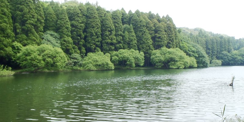 fig.00 �Y�փP�r�i���c�J�Ök�݁j