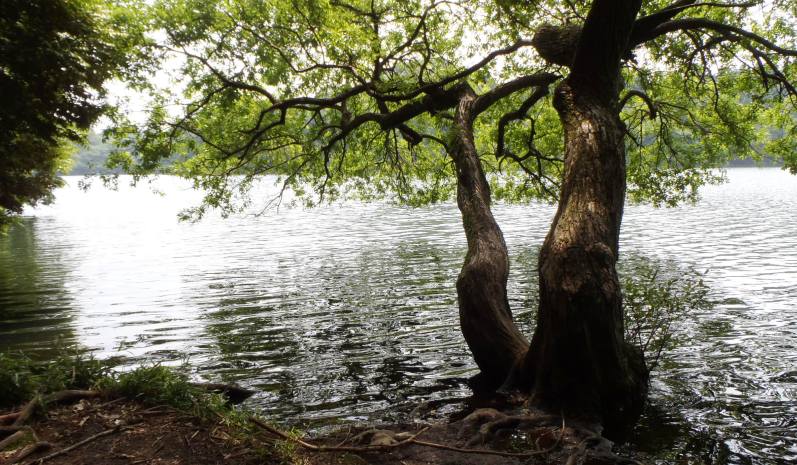 fig.03 �N�k�M�@No.5