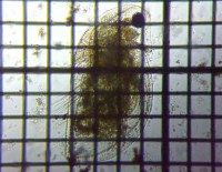 fig.04 �_�t�j�A