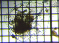 fig.05 �t�N�������V