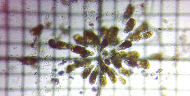 fig.07 �e�}�������V