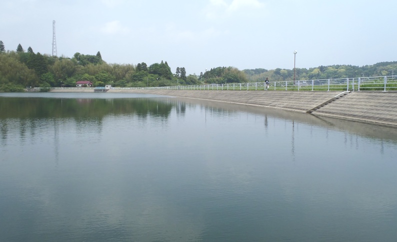 fig.00 �H���̗Y�փP�r