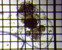 fig.09 �t�N�������V