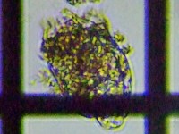 fig.12 �e�}�������V