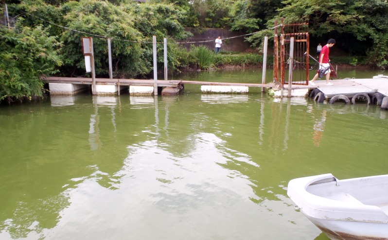 fig.00 �Y�փP�r�̃A�I�R���ہi�{�[�g�V���j