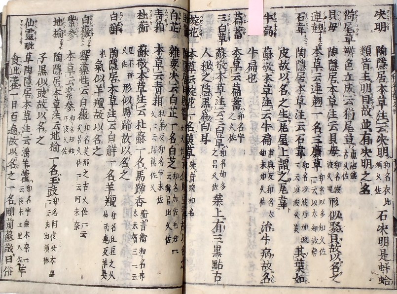 fig.06 �悵����ˑ��w�`��������x�́u�m���v����