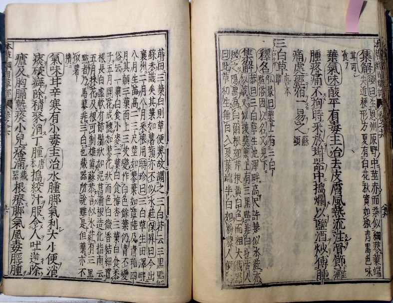 fig.03 �悵����ˑ��w�{���j�ځx�́u�O�����v����