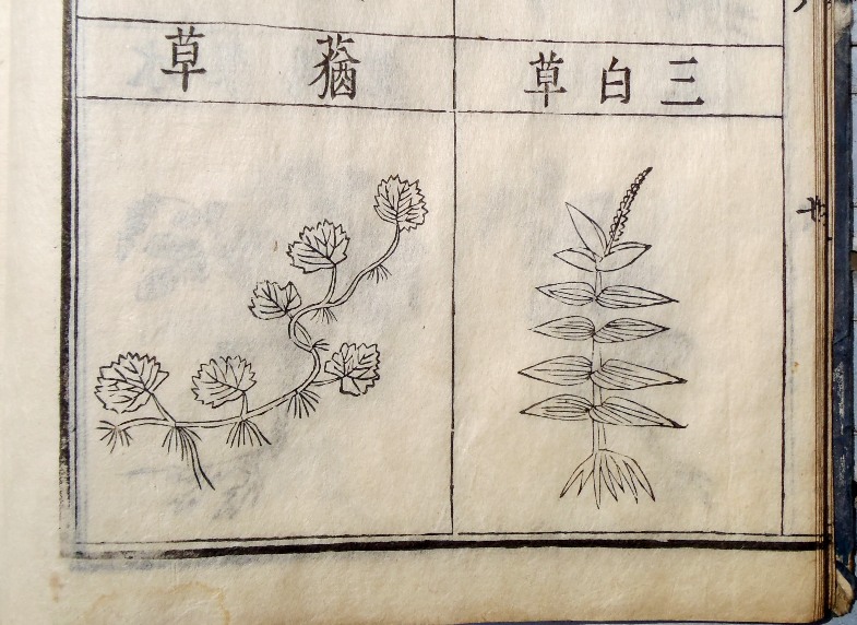 fig.04 �悵����ˑ��w�{���j�ځx�́u�O�����v�}