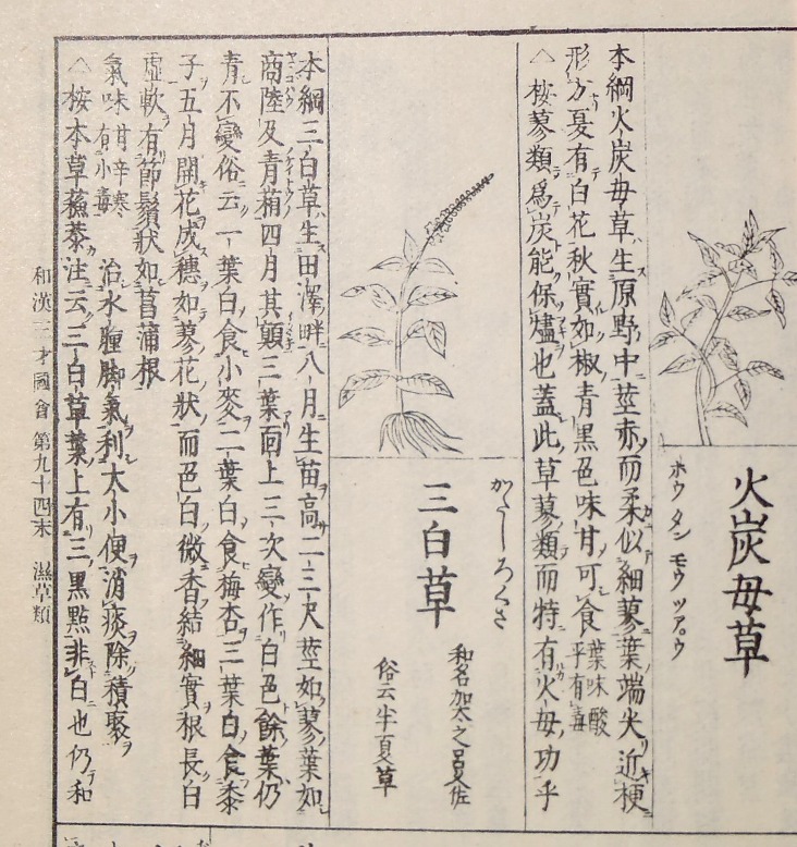 fig.05 �悵����ˑ��w�`���O�ː}��x�e�󕜍��ł́u�O�����v����