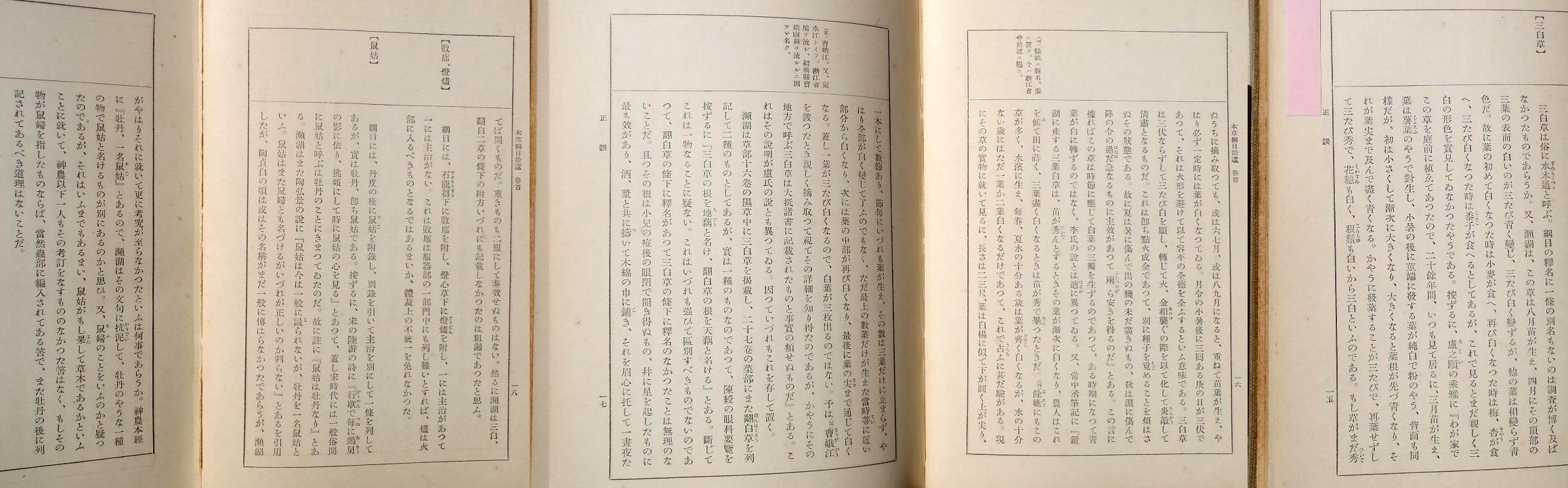 fig.06 �悵����ˑ��w�{���j�ڏE���x�́u�O�����v����