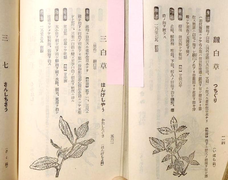 fig.07 �悵����ˑ��w��䇍j�́x�́u�O�����v�y�сu�|�����v����