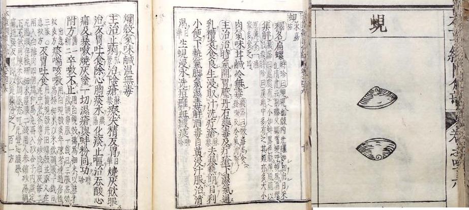 fig.04 �w�{���j�ځx�́u儁v