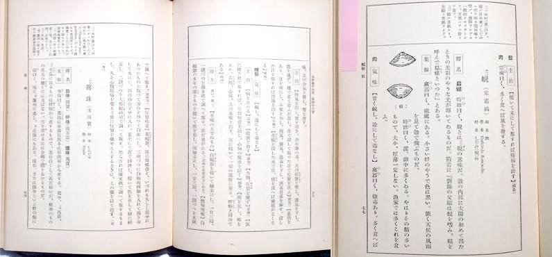 fig.05 �w��������{���j�ځx�́u儁v