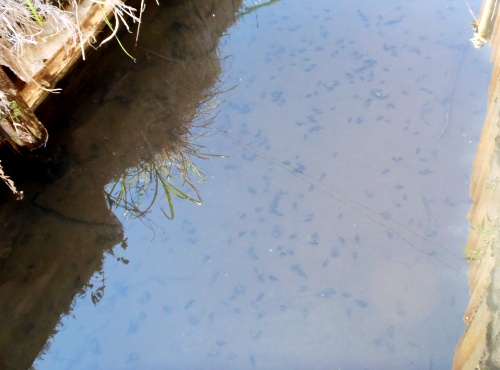 fig.07 �_�Ɨp���H�̒�