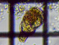 fig.06 �e�}�������V