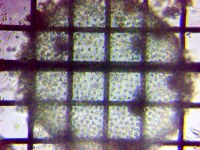 fig.07 �{���{�b�N�X��