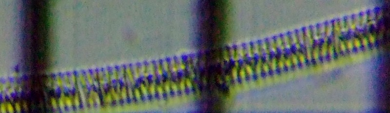 fig.02 �I�r�P�C�\�E