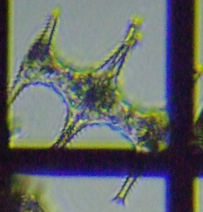 fig.03 �c�d�~����