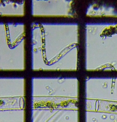 fig.04 �z�V�~�h����