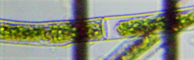 fig.05 �z�V�~�h����