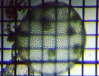 fig.08 �{���{�b�N�X��