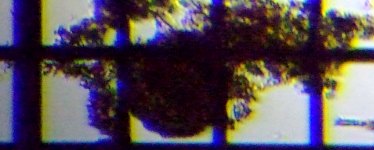 fig.11 �f�B�t���M�A��