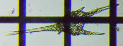 fig.13 �c�m�I�r���V