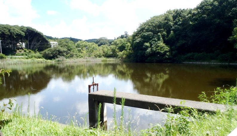 fig.00 �O���剁