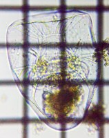 fig.04 �t�N�������V