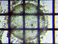 fig.09 �{���{�b�N�X��