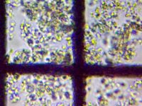 fig.12 �f�g���^�X